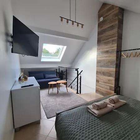 Logement Independant Dans Une Zone Pavillonnaire Au Calme, Situe Entre Disneyland Et Paris Ozoir-la-Ferrière Exterior foto