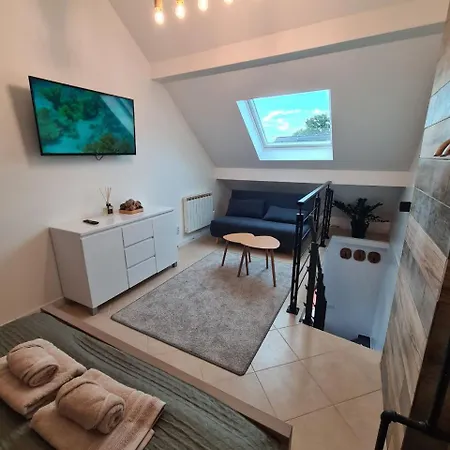 Logement Independant Dans Une Zone Pavillonnaire Au Calme, Situe Entre Disneyland Et Paris Ozoir-la-Ferrière Exterior foto